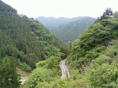 b0040606_20114362.jpg