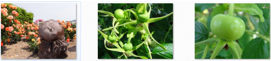 f0231709_14391038.gif