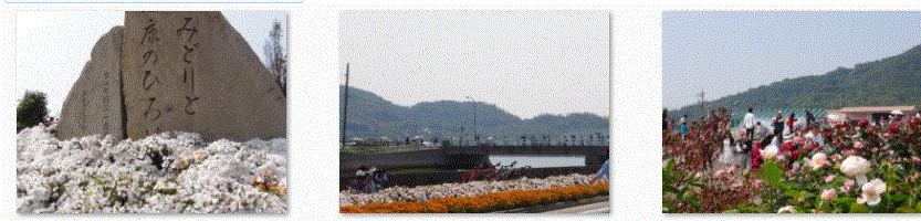 f0231709_14424164.gif