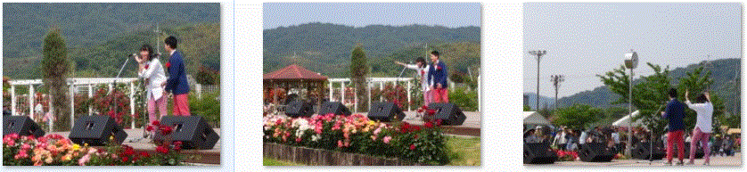f0231709_1562632.gif