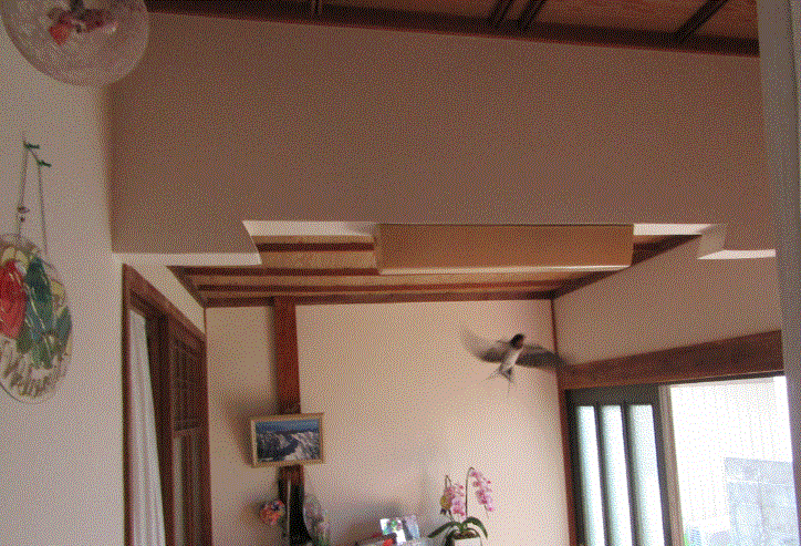 f0231709_712451.gif