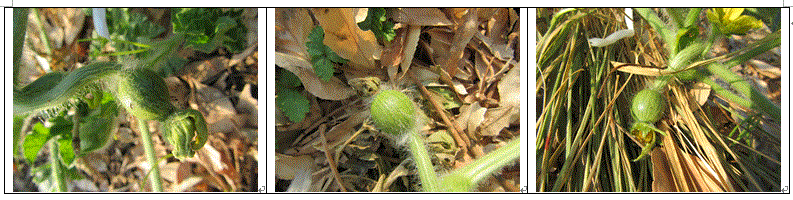 f0231709_7564121.gif