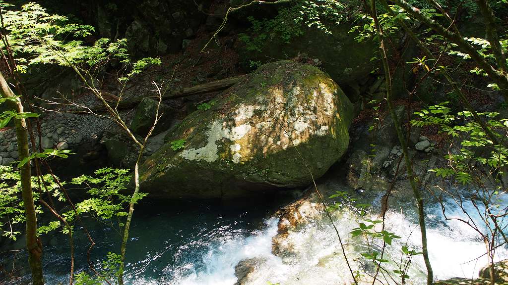 b0021211_10801.jpg