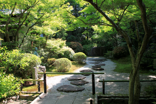 常照寺　青もみじ_e0048413_20133958.jpg