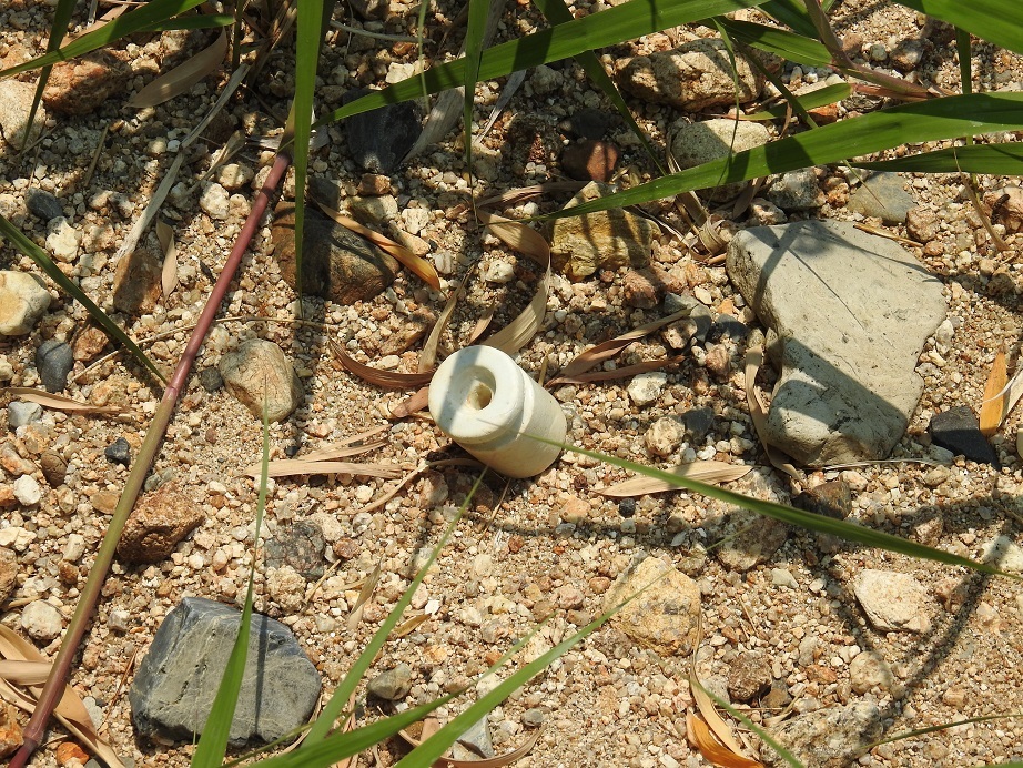 c0353716_20484701.jpg