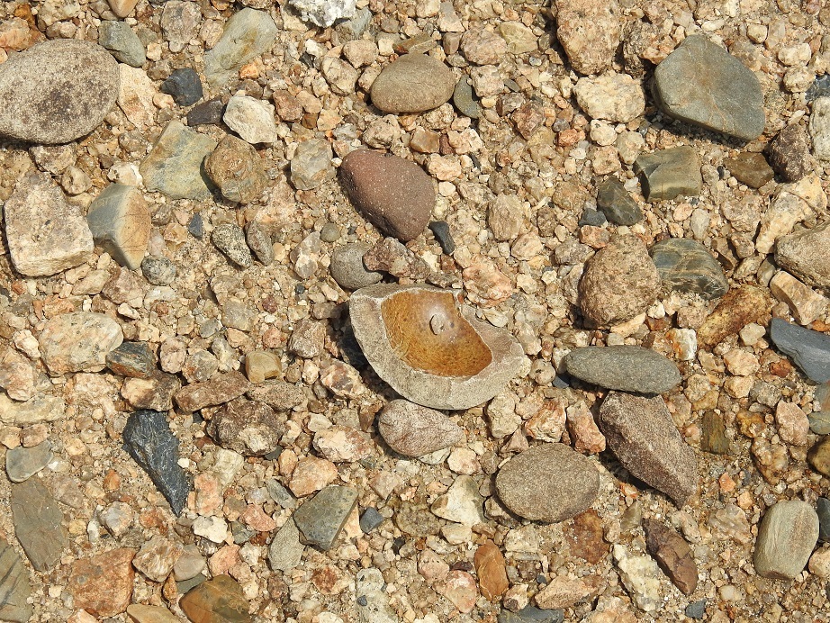 c0353716_20484816.jpg