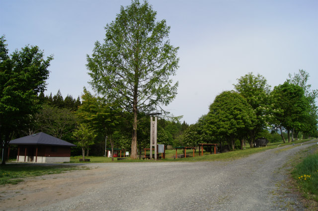 a0173819_9311296.jpg
