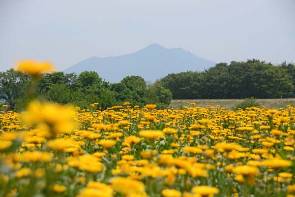 f0147025_16762.jpg