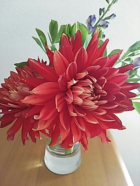 c0124528_05514908.jpg