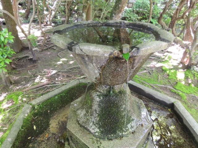 a0254130_1161835.jpg