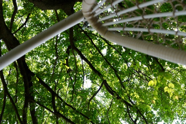 f0348831_23320306.jpg