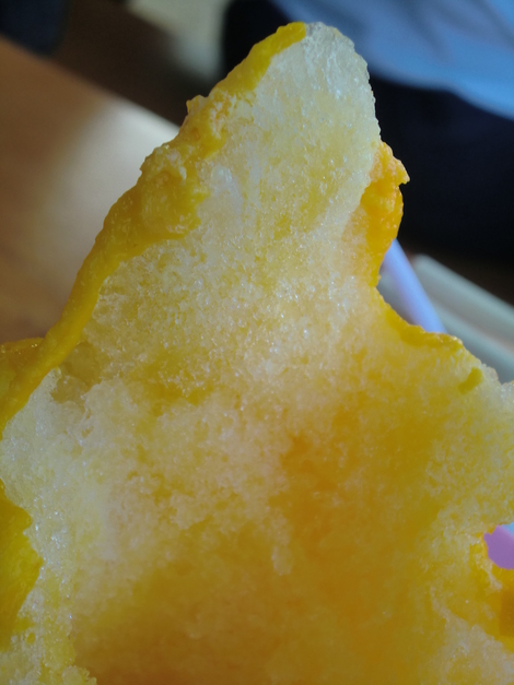 c0236632_8144128.jpg