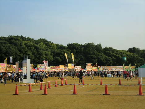c0236632_85471.jpg