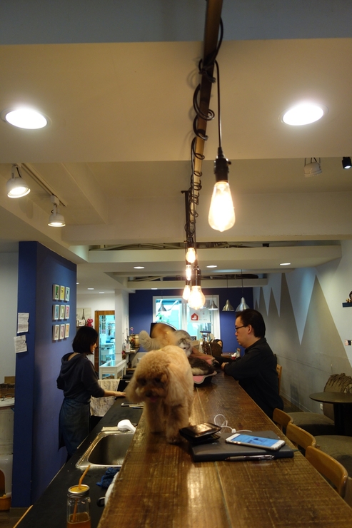 小春日和 動物雑貨‧珈琲 台北市延壽街/犬猫カフェ~台湾へ行きタイワーン 4日目 6_a0287336_22252249.jpg