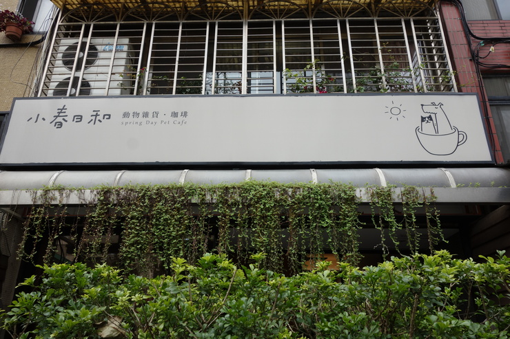 小春日和 動物雑貨‧珈琲 台北市延壽街/犬猫カフェ~台湾へ行きタイワーン 4日目 6_a0287336_2229448.jpg