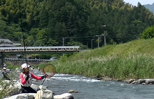 a0056140_14293443.gif