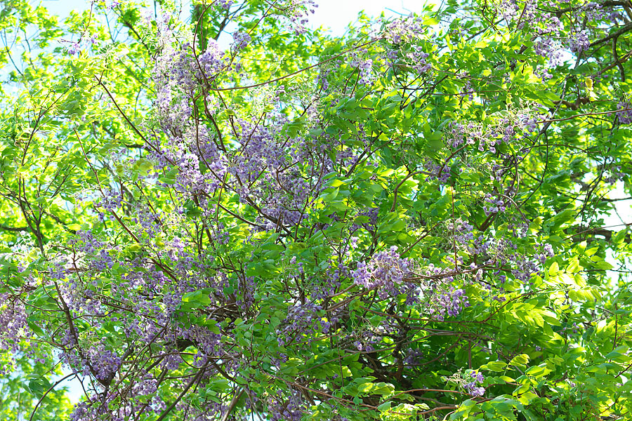 c0067040_23142510.jpg