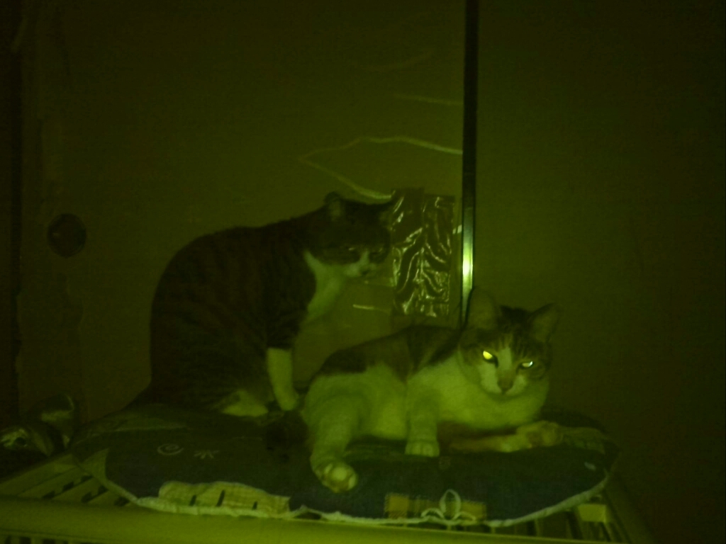 c0194042_10234282.jpg