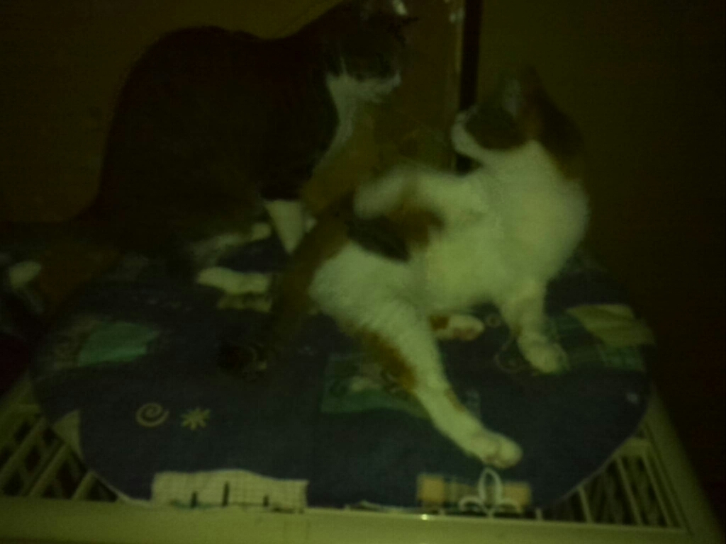 c0194042_10234679.jpg