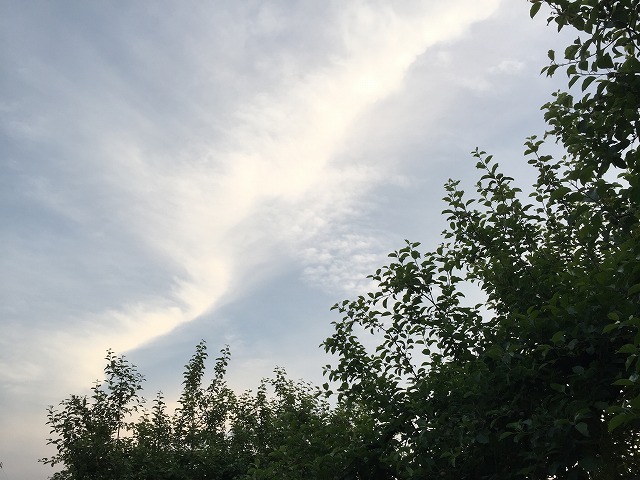 f0360642_18393163.jpg