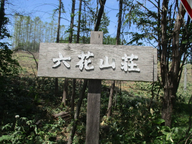 a0279743_6502247.jpg