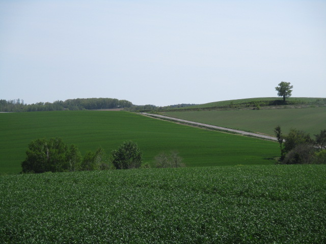 a0279743_79567.jpg