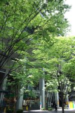 99.9 ―刑事専門弁護士―「絶対崩せない証言!!切り札は佐田の過去」_e0080345_822584.jpg