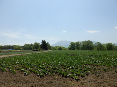 b0126549_11531524.jpg