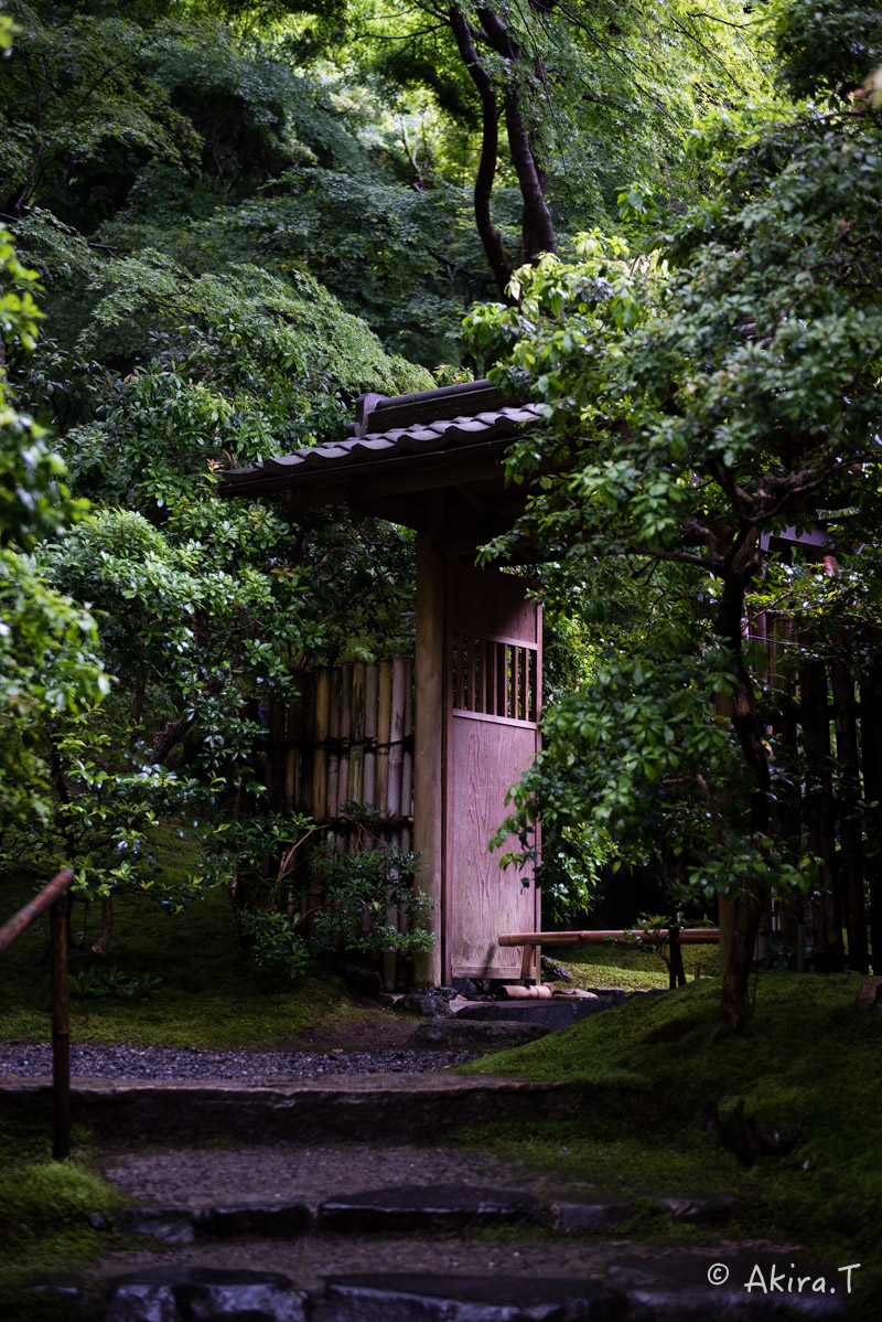 京都の新緑 2016　〜瑠璃光院 3 〜_f0152550_22585655.jpg