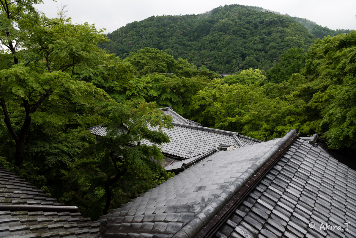 京都の新緑 2016　〜瑠璃光院 3 〜_f0152550_2304040.jpg