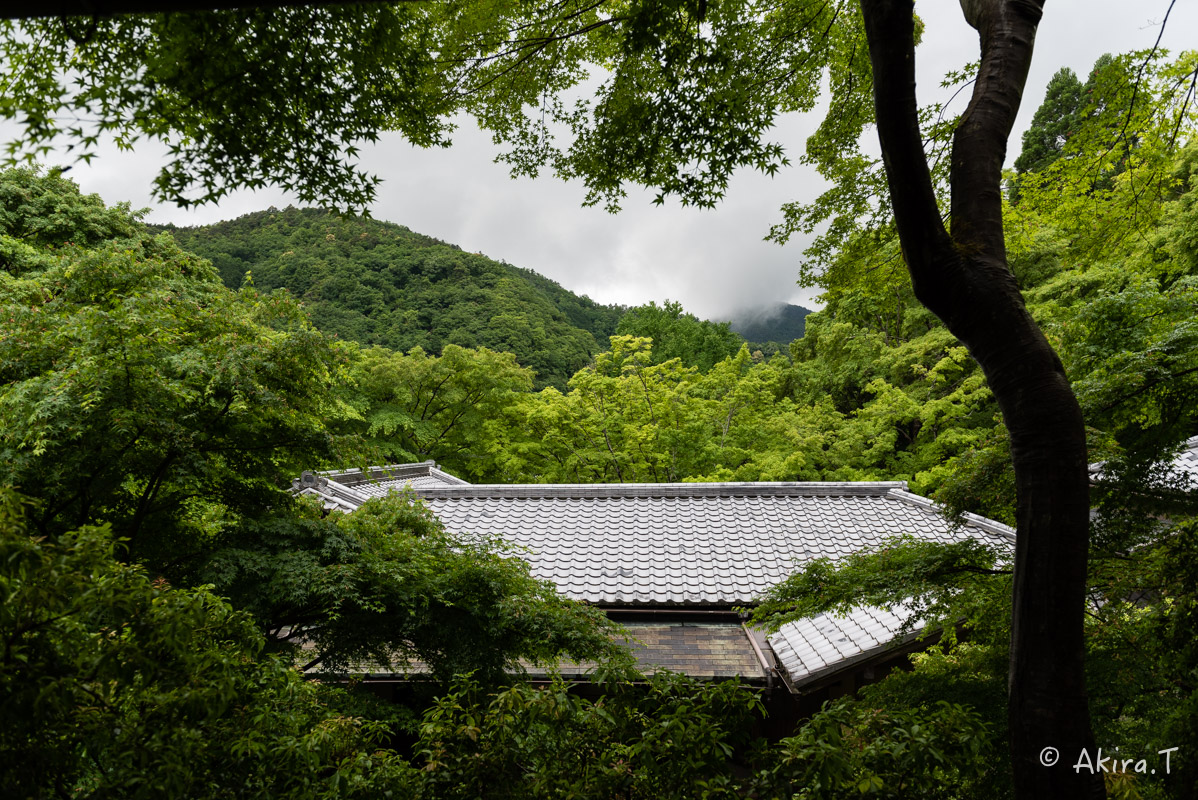 京都の新緑 2016　〜瑠璃光院 3 〜_f0152550_2305462.jpg