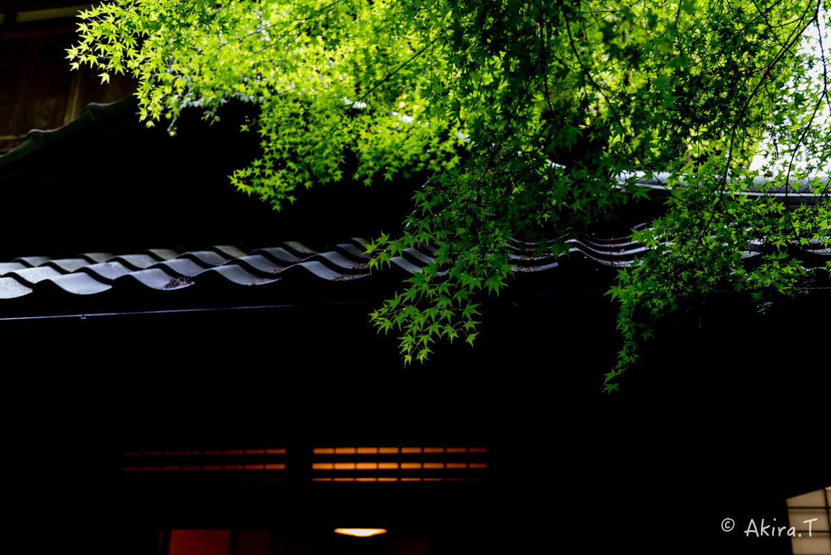 f0152550_2331163.jpg