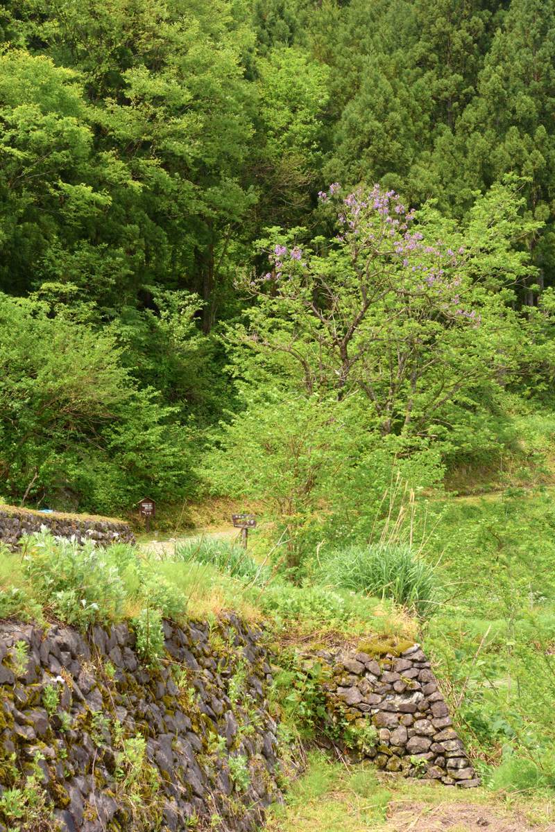 d0286954_04072550.jpg