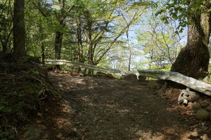 山梨百名山＠三つ峠　2016.05.12(木)_f0344554_14475710.jpg