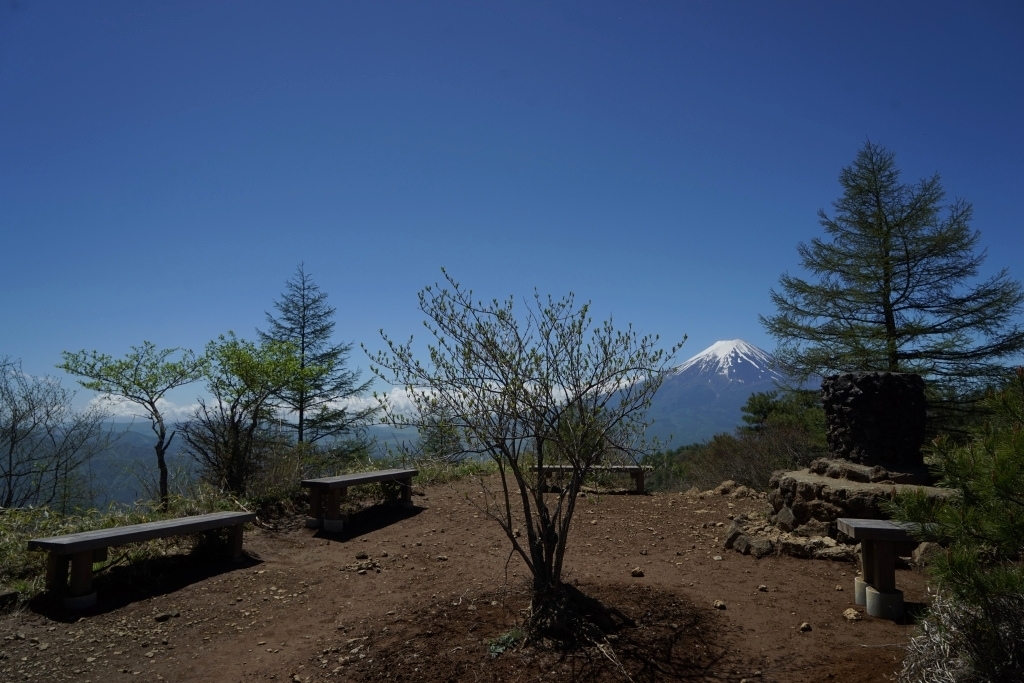 山梨百名山＠三つ峠　2016.05.12(木)_f0344554_14480398.jpg