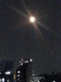 満月_a0061057_12305591.jpg