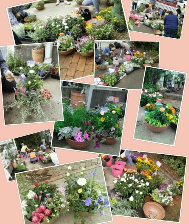 ６月のワークショップ「寄せ植え」_b0206059_06504516.jpg