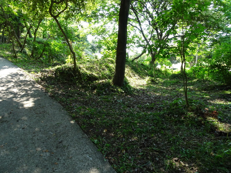 [ささゆりまつり」の準備に大奮闘　in　うみべの森_c0108460_00323546.jpg