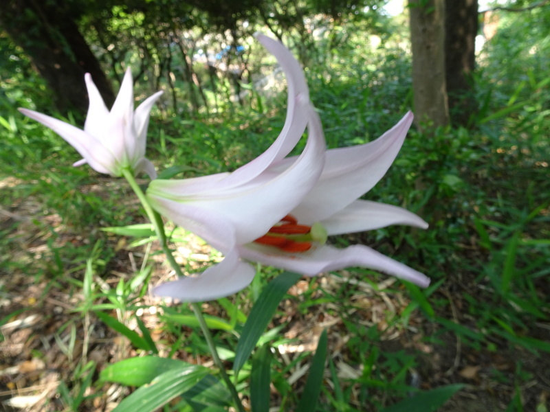 c0108460_02143372.jpg