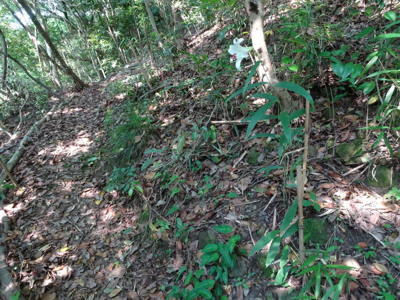 c0108460_02144008.jpg