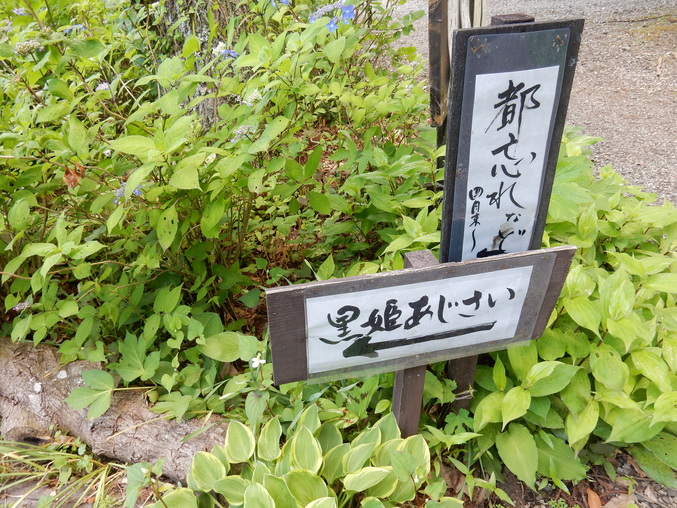’16,5,23(月)花野辺の里に行って来たYO!_f0060461_18155147.jpg