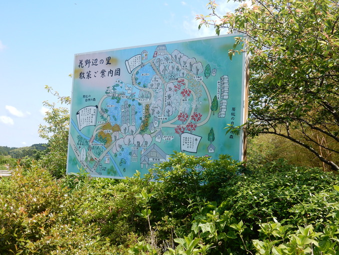 ’16,5,23(月)花野辺の里に行って来たYO!_f0060461_8165233.jpg