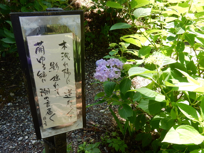 ’16,5,23(月)花野辺の里に行って来たYO!_f0060461_8392334.jpg