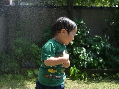 a0295764_10474798.jpeg