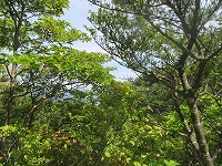 a0093965_22293827.jpg