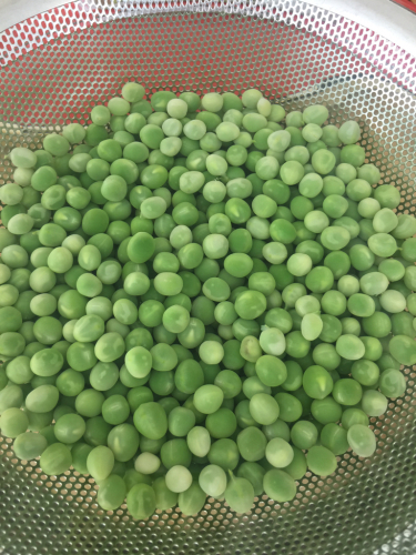 皐月おばんざい 青山椒クラスのご報告_e0326573_07313511.jpg