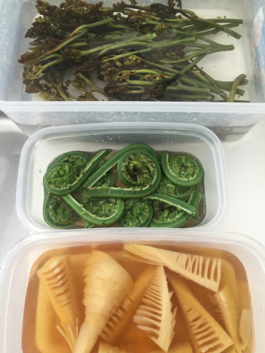 皐月おばんざい 青山椒クラスのご報告_e0326573_07313675.jpg