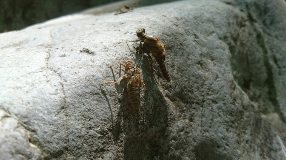 b0298776_91561.jpg