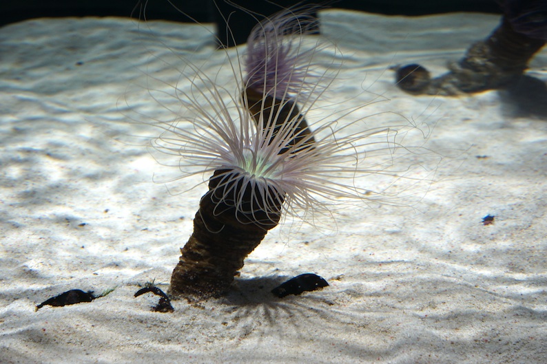 b0057679_90458.jpg