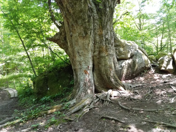 e0262382_15414470.jpg